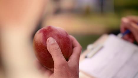 close up of man’s hand holding an apple