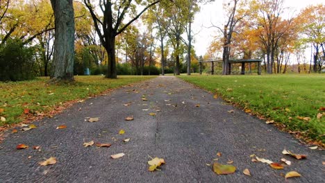 ground view of a trail by a river in wisconsin