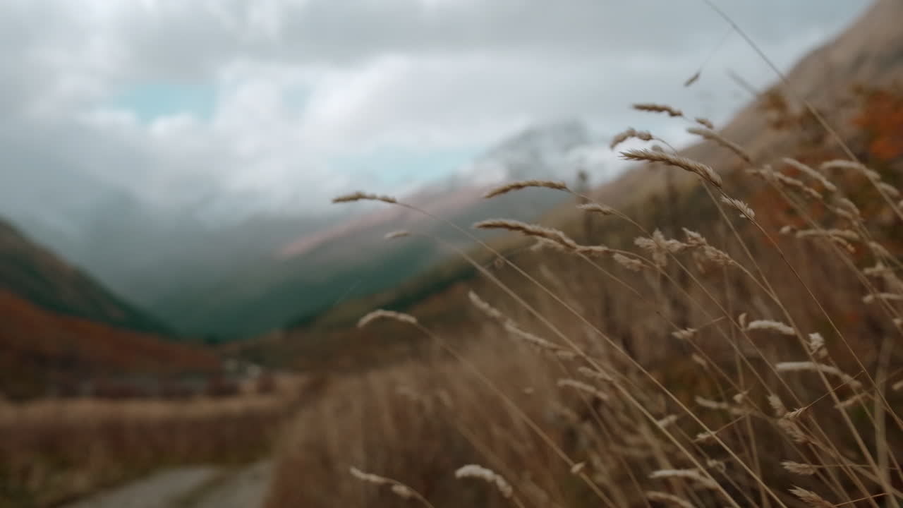 가을의 산 계곡 풍경