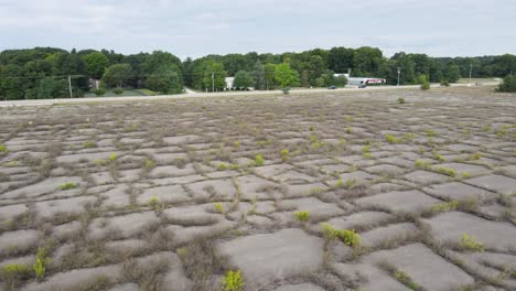 Cement-overgrowth-in-Muskegon,-mi