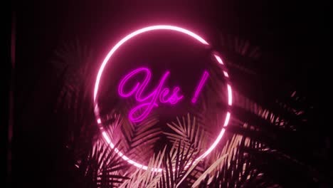 Animation-of-yes-text-and-ring-in-pink-neon,-over-palm-leaves-on-black-background