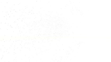 3d marco de alambre negro girar y ensamblar en un símbolo de bitcoin 3d en el monitor. 4k animación limpia 3d en fondo blanco