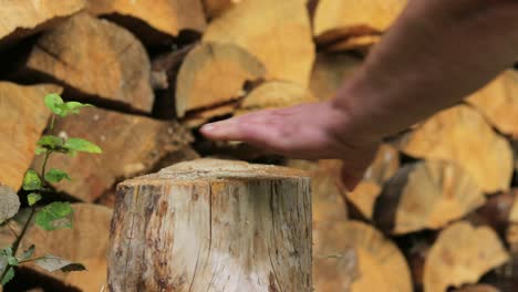 splitting a small log with large splitting maul on a wooden background