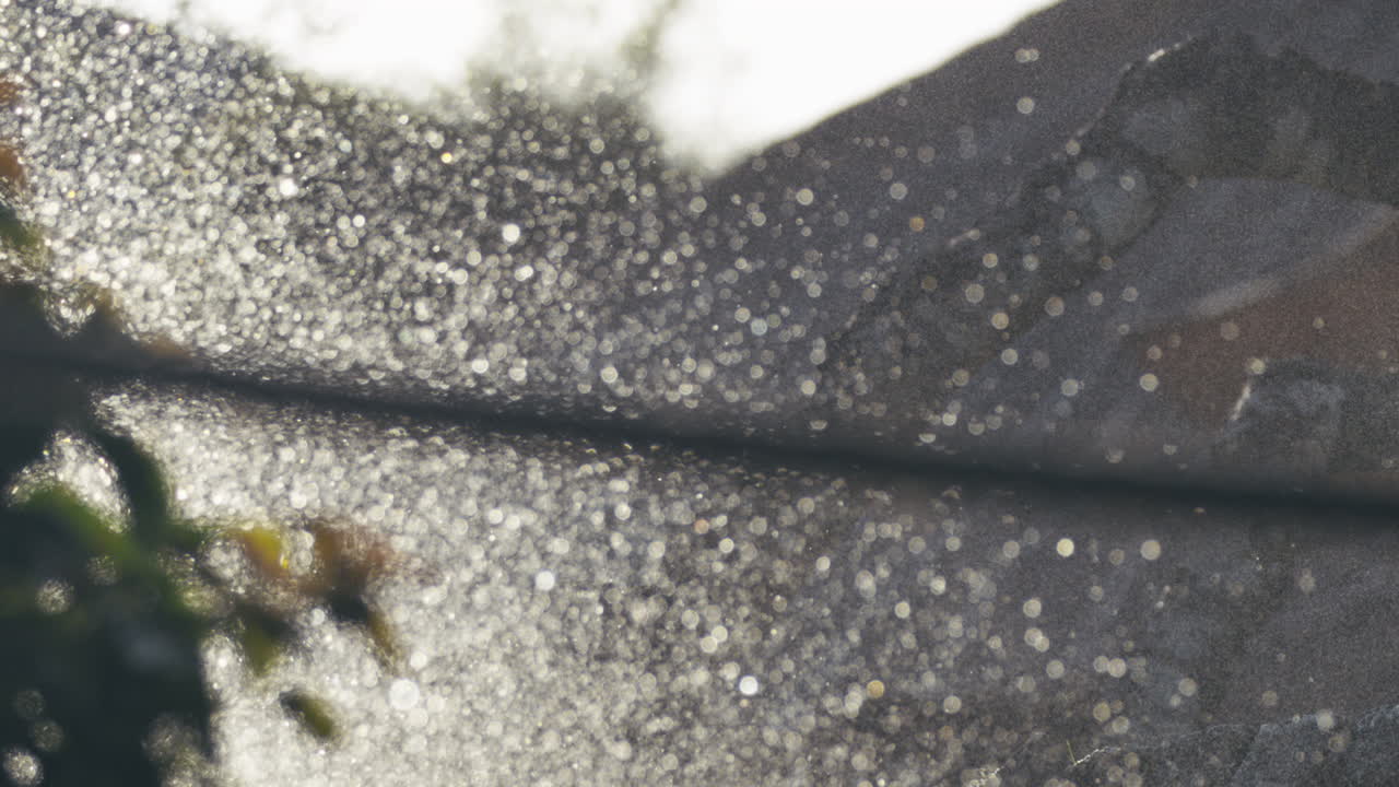 Super slow motion of water spraying across lawn, sunlight catching droplets mid air
