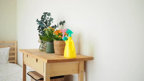 indoor plants and plant care tools on a wooden table