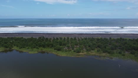 wide aerial shot of sea waves and forest