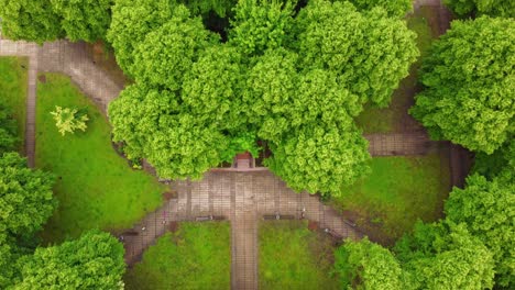 Top-down-aerial-shot-of-peaceful-park-in-Klaipeda,-vibrant-tree-tops-foliage