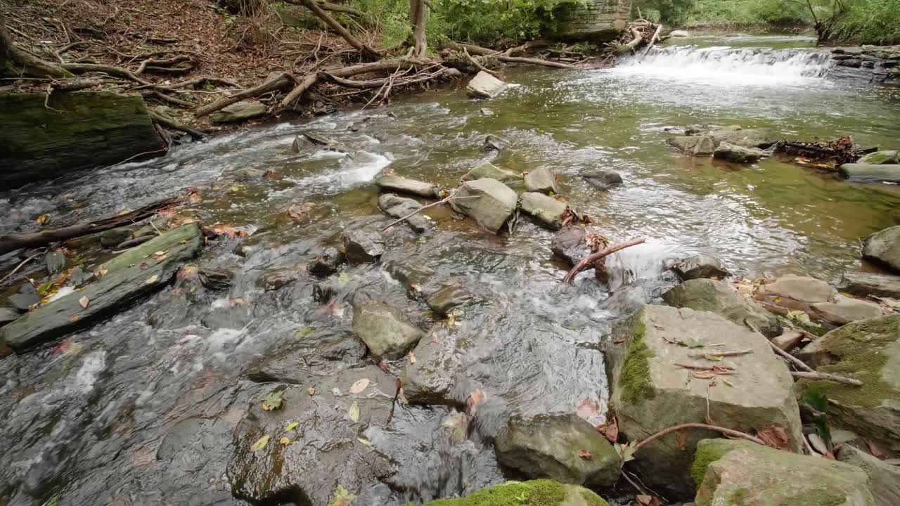 corrientes de agua sobre rocas y ramas, wissahickon creek