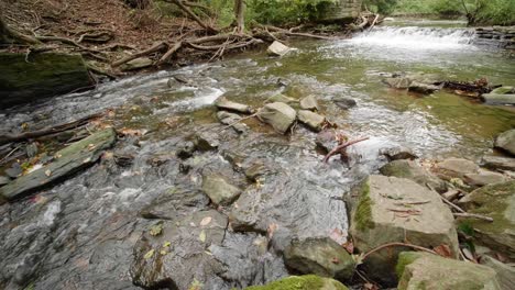 water streams over rocks and branches, wissahickon creek