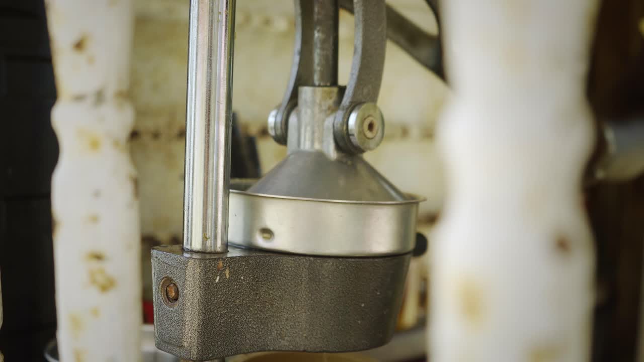 limón siendo exprimido para hacer un delicioso smoohtie en una playa de gambia