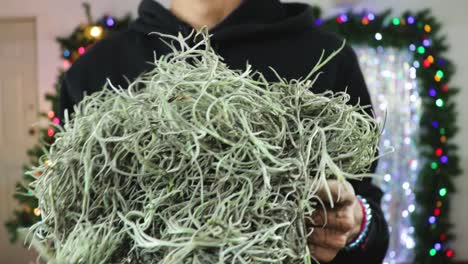 Man-using-hay-for-Belen,-Christmas-in-a-studio,-view-on-hands