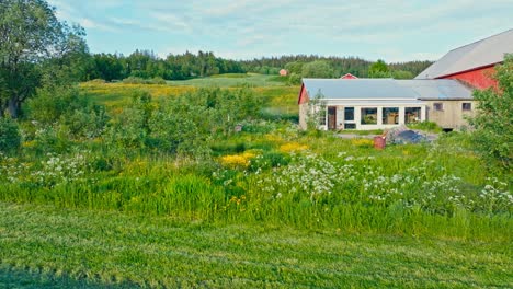 Rural Fields And Farmhouse In Norway - Drone Shot