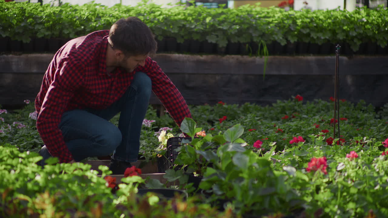 Gardener Working on Greenhouse Irrigation