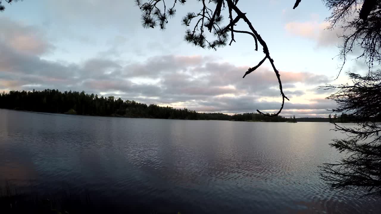 Timelapse af en rolig boreal skovsø i det nordvestlige Ontario, Canada. Trægrene indrammer udsigten, mens skyer bevæger sig hen over en delvist overskyet sommerhimmel over stille vand