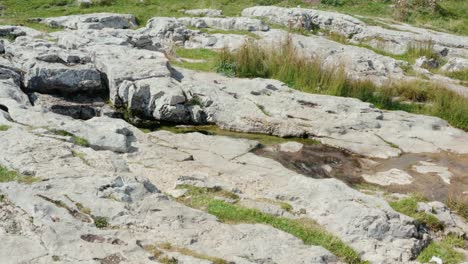 Agua-Que-Fluye-En-Un-Arroyo-Rocoso-En-Una-Granja-Rural-Con-Cabaña-En-Segundo-Plano