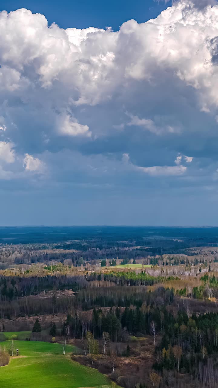 An aerial timelapse captures white clouds and their shadows moving across a vast wilderness landscape of pine and bare deciduous trees during a beautiful early spring day