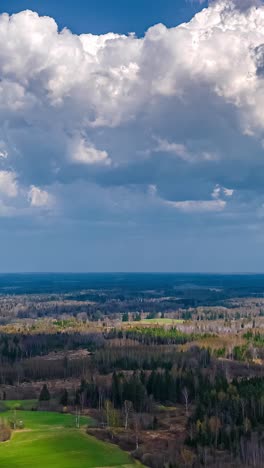 an aerial timelapse captures white clouds and their shadows moving across a vast wilderness landscape of pine and bare deciduous trees during a beautiful early spring day