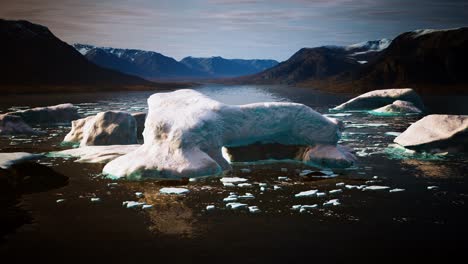 many melting icebergs in antarctica