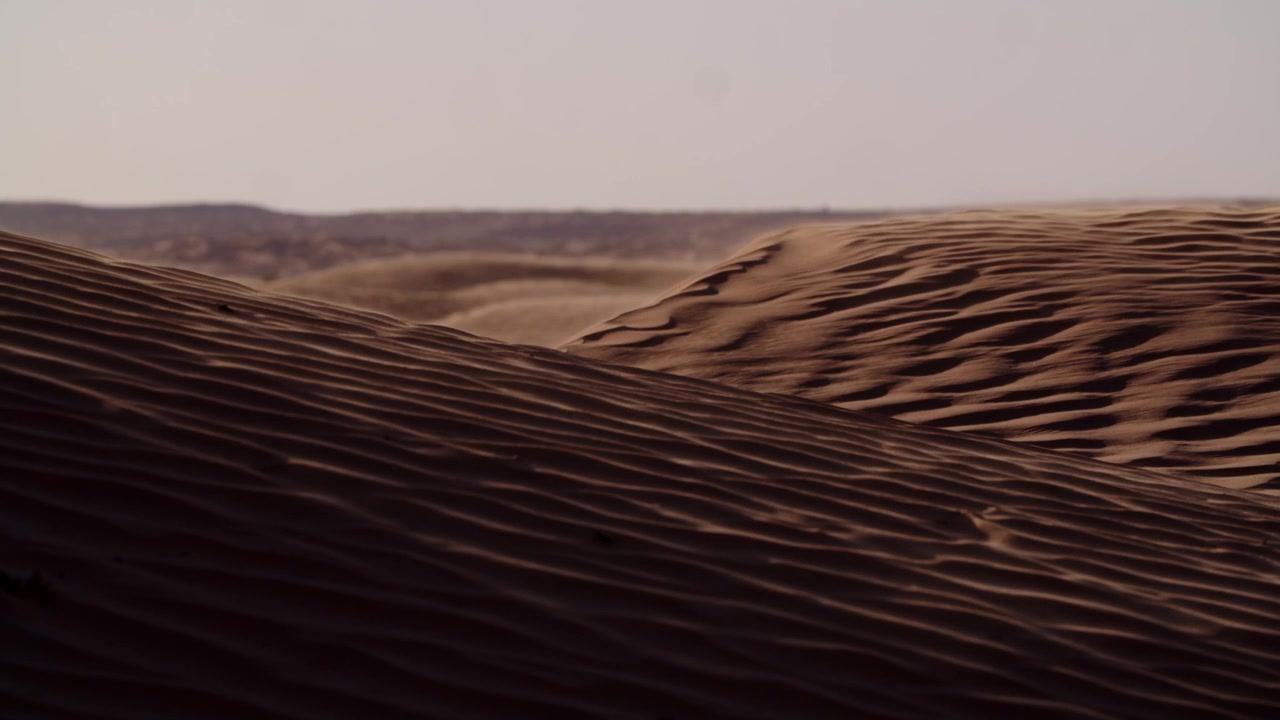 Vista spettacolare del tramonto di dune di sabbia ondulate nel Sahara tunisino con cumuli di sabbia trasportati dal vento. Illuminazione cinematografica sul paesaggio desertico del Grande Erg Orientale durante l'ora d'oro.