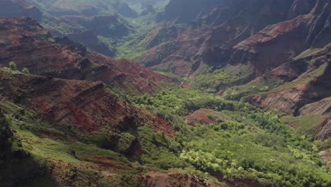 cinematic aerial shot over famous waimea canyon state park