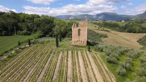 Wide-angle-drone-shot-going-backwards-revealing-a-vineyard-with-an-ancient-castle-located-on-the-property-surrounded-by-mountains-in-the-distance-shot-in-the-countryside-of-Abruzzo-in-Italy