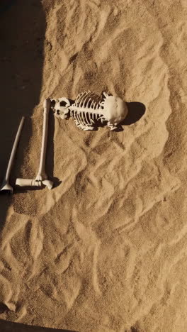 skeleton in the sand