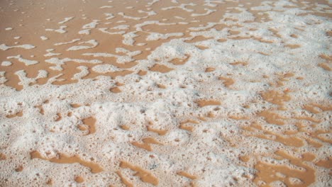 cámara lenta, océano playa burbuja espuma ola marea retrocediendo