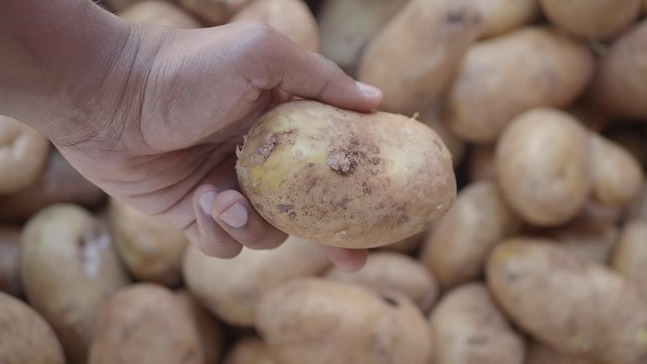 Patata in mano
