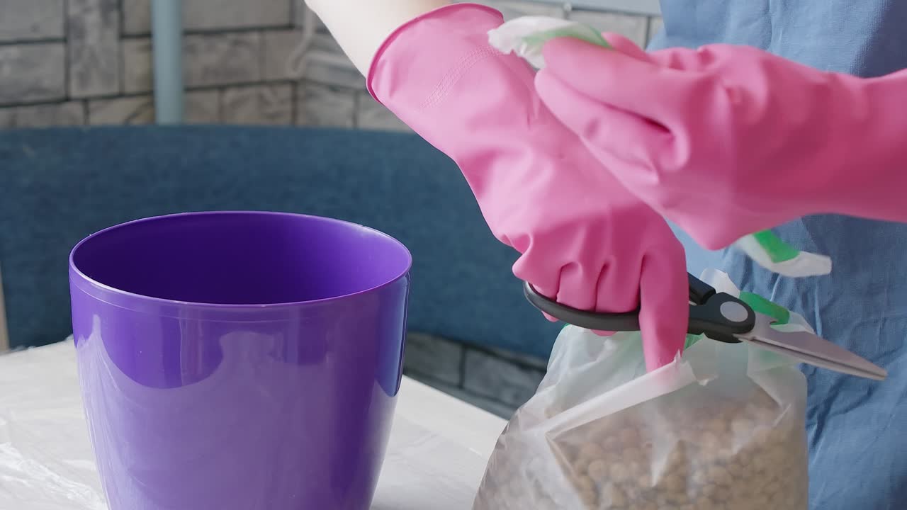 재배 식물에 대한 케람시트를 가진 여성의 비디오