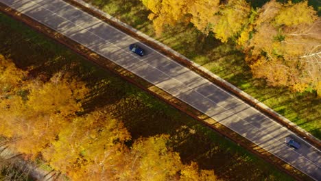 Vehicles-Traveling-On-Road-Between-Autumn-Trees-In-Slovakia---aerial-drone-shot