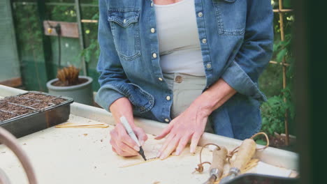 mature woman writing plant labels gardening in greenhouse at home