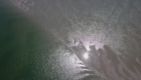 one lone man digging clams in muddy lagoon from high overhead, aerial