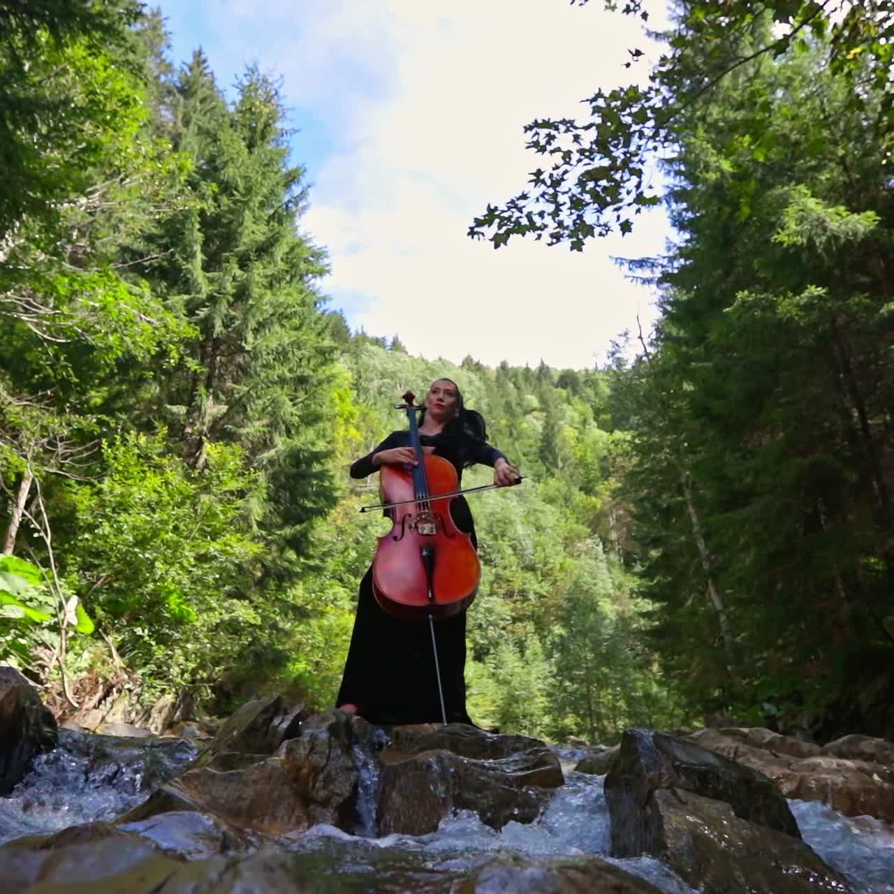 Huge cello in woman`s hands in the forest. Pretty woman playing on a cello in nature