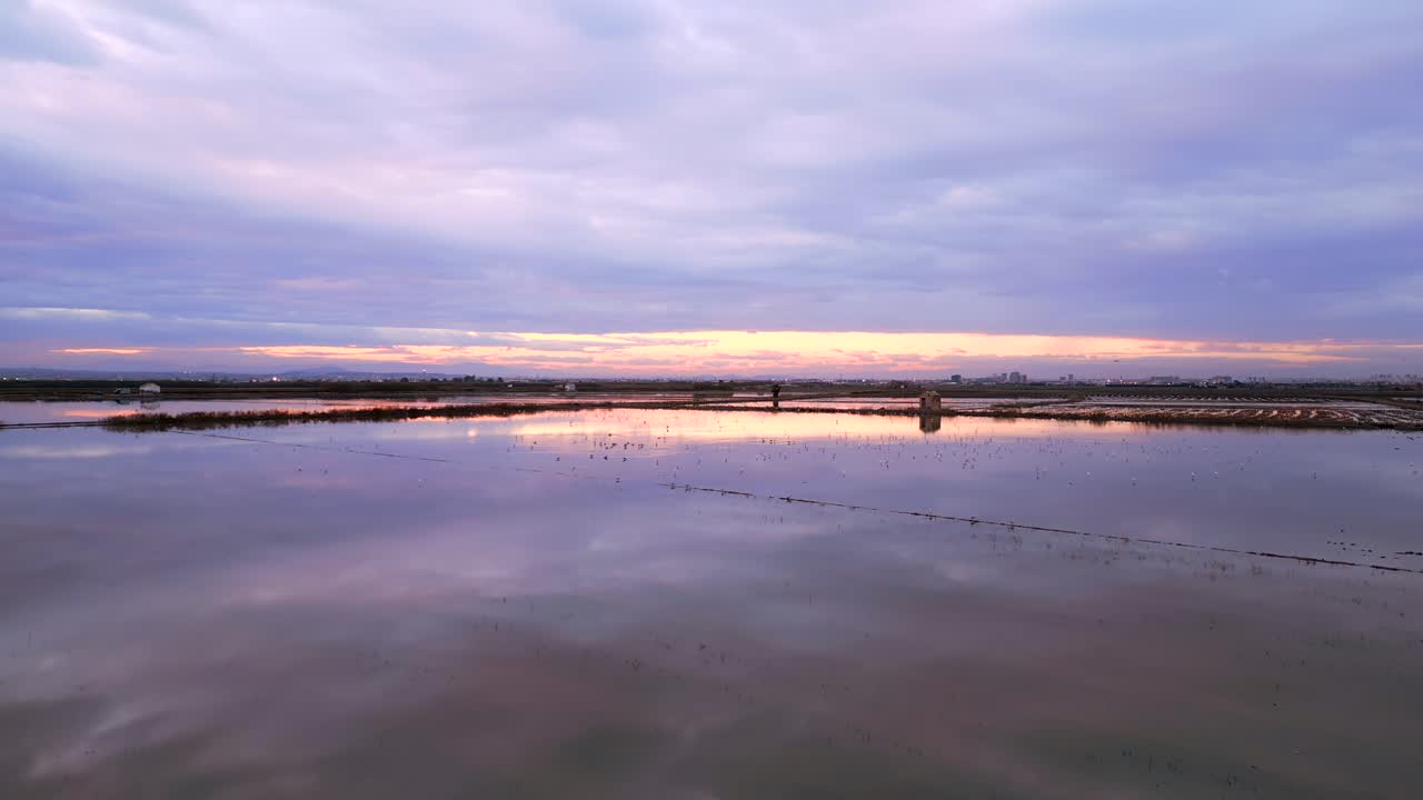 Tranquil Rice Paddy Sunset Reflection