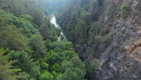 stunning vegetation on mountainside of abraham riverbank