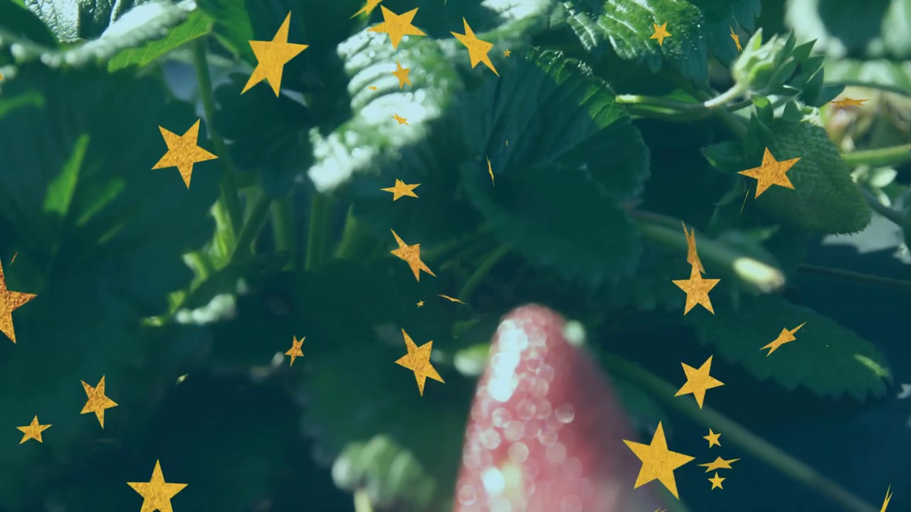 Stelle animate mosse dal vento che fluttuano su una pianta di bacche mentre la telecamera si sposta verso il basso rivelando una fragola matura.