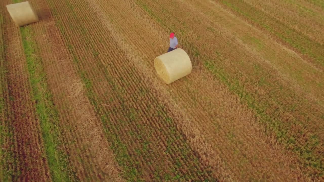 농부가 일하는 드론 영상