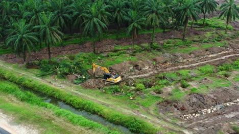 Vista-Aérea-De-Drones-De-La-Remoción-De-Bosques-En-El-Borde-De-La-Carretera,-Excavadora-Quitando-Palmeras-Con-Pájaros-Forrajeando-Al-Costado,-Deforestación-Por-Aceite-De-Palma,-Preocupaciones-Ambientales-Y-Pérdida-De-Hábitat,-Tiro-Aéreo