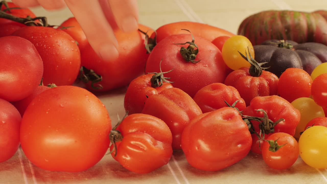 Colorful organic tomatoes. Mix tomatoes background, Several varieties of sliced tomatoes top view. Different assorted colorful tomatoes, heirloom, cherry, rose, beefsteak, cocktail, grape, purple.