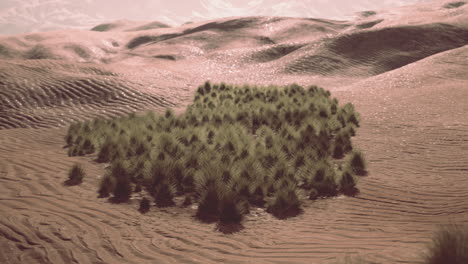 mohave desert landscape with blue cloudy skies