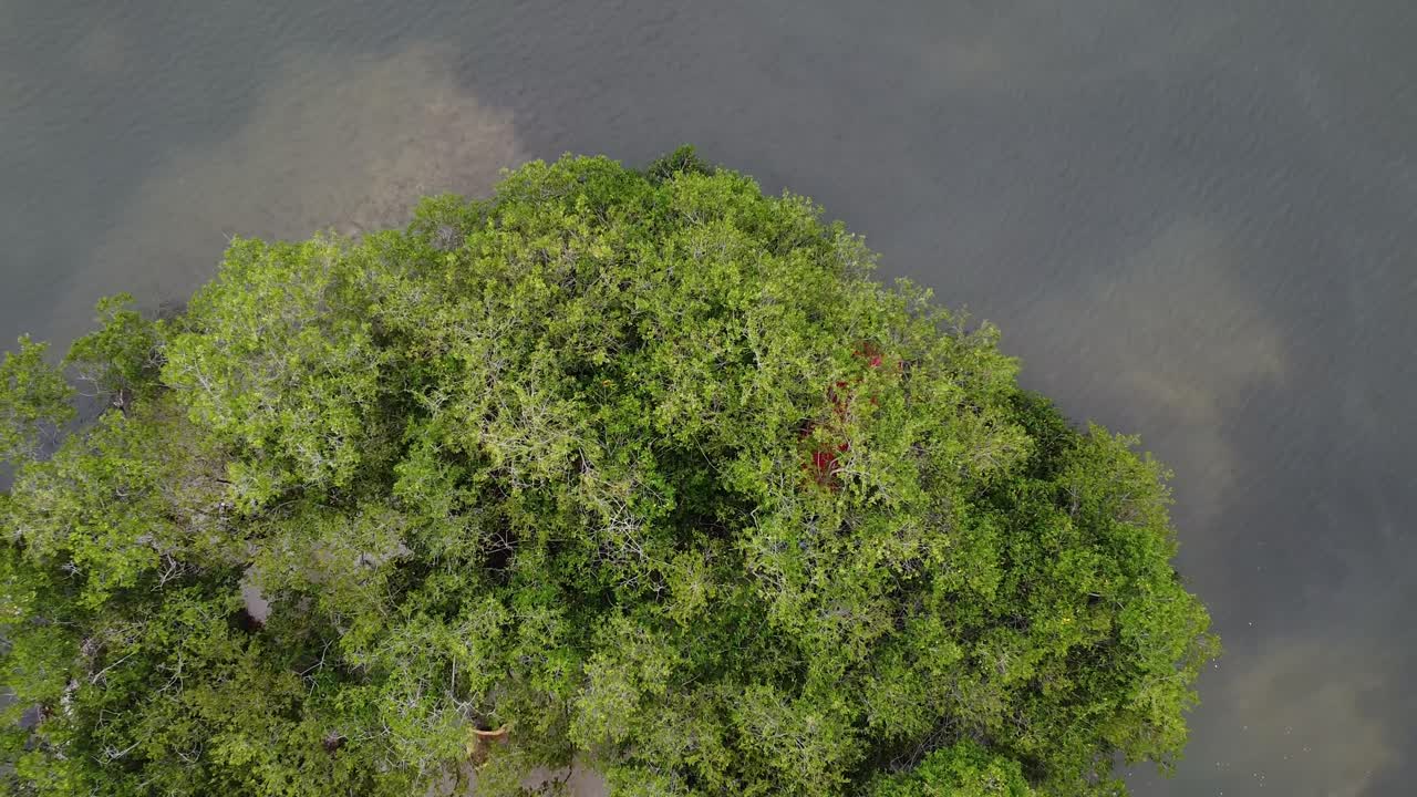 Aerial drone zoom out shot over the Shells Island in Mandinga Lagoon mangrove area, Veracruz, Mexico at daytime