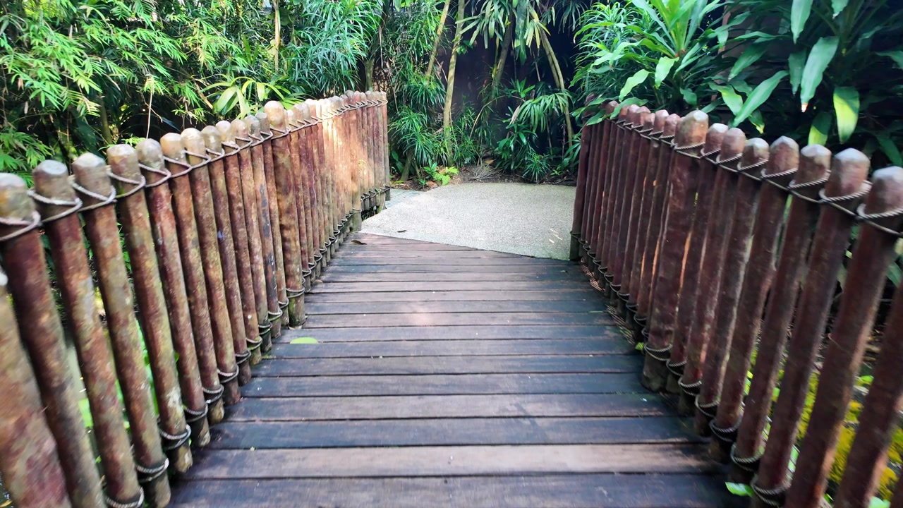 POV Walking on Wooden Bridge into Lush Tropical Forest
