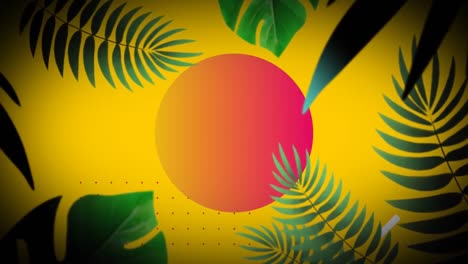 círculo parpadeante con hojas tropicales sobre fondo amarillo