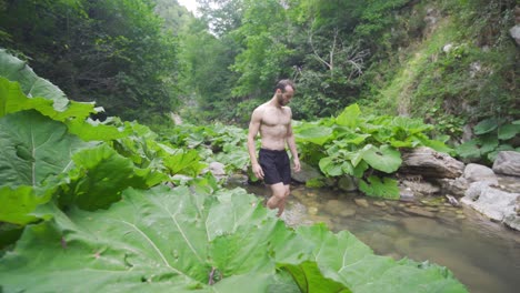 Man-walking-by-stream-in-tropical-forest.