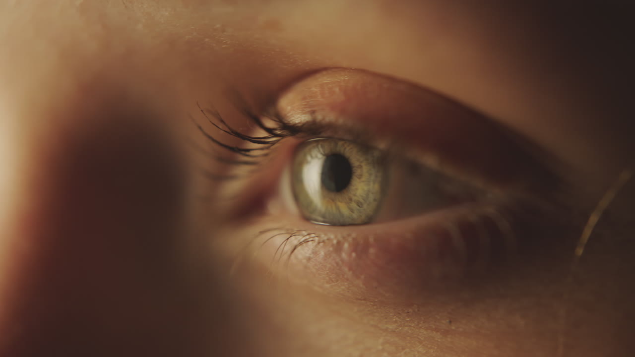 primer plano de las arrugas marrones de los ojos femeninos