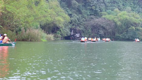 people rowing boats through lush green scenery