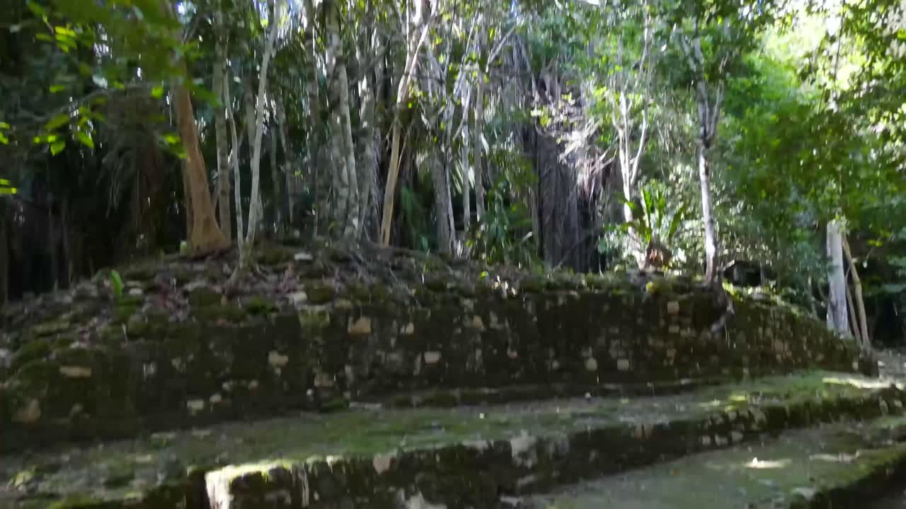 ⁇ 타나 루, 멕시코 의 마야 고고학 유적지 인 차코벤 의 마야 유적 위 에 자라는 밀집 한 열대 우림