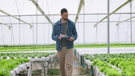 Farmer,-greenhouse-and-man-in-garden