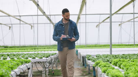 agricultor, invernadero y hombre en el jardín