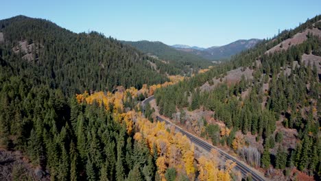 wild winding mountain road through autumn forest in washington, usa